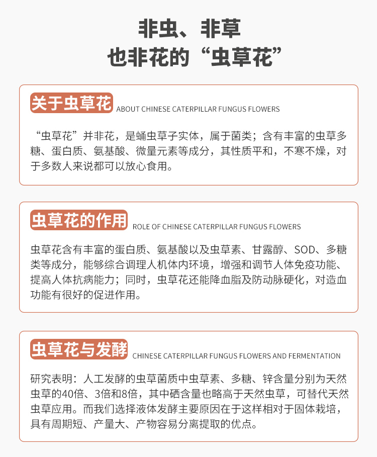 蟲草花酵素詳情_02.jpg