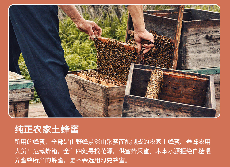 蟲草花酵素詳情_07.jpg