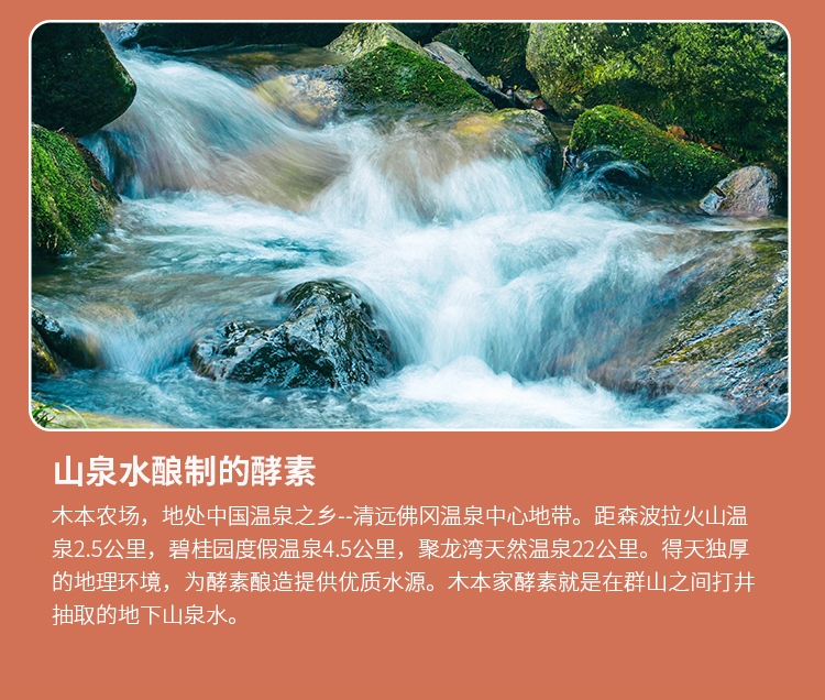 蟲草花酵素詳情_08.jpg