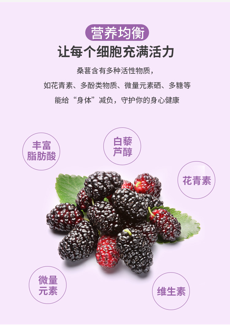桑葚酵素詳情_(kāi)03.jpg