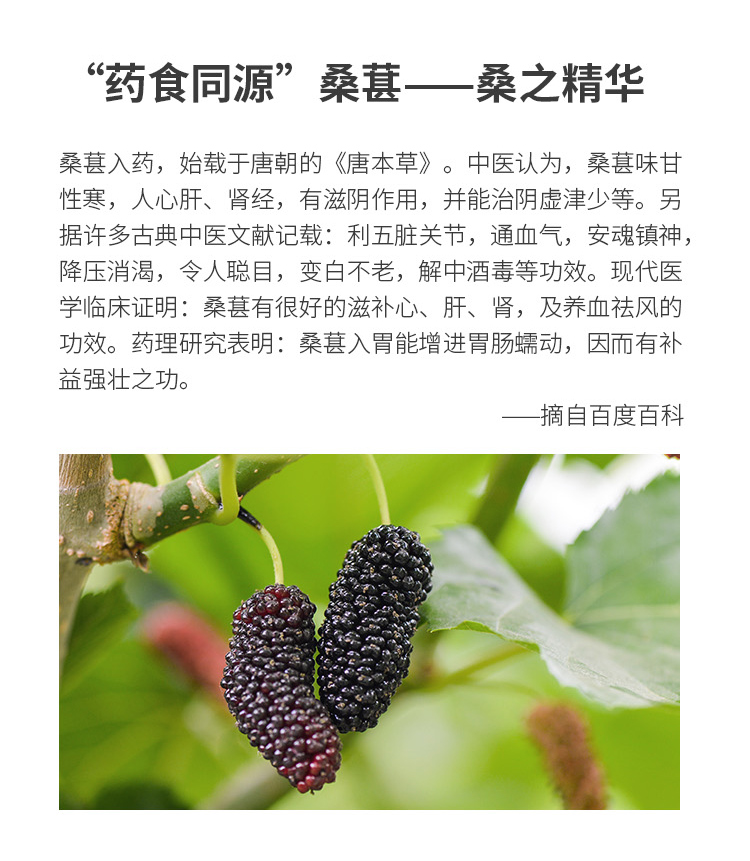 桑葚酵素詳情_(kāi)04.jpg