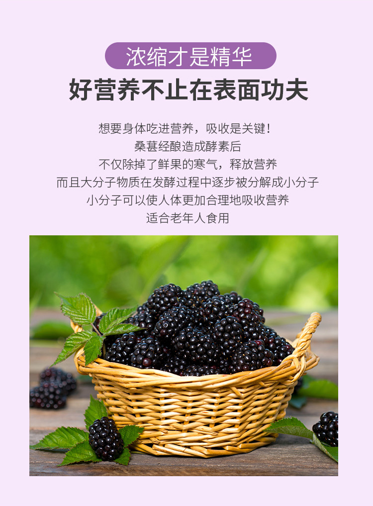 桑葚酵素詳情_(kāi)08.jpg